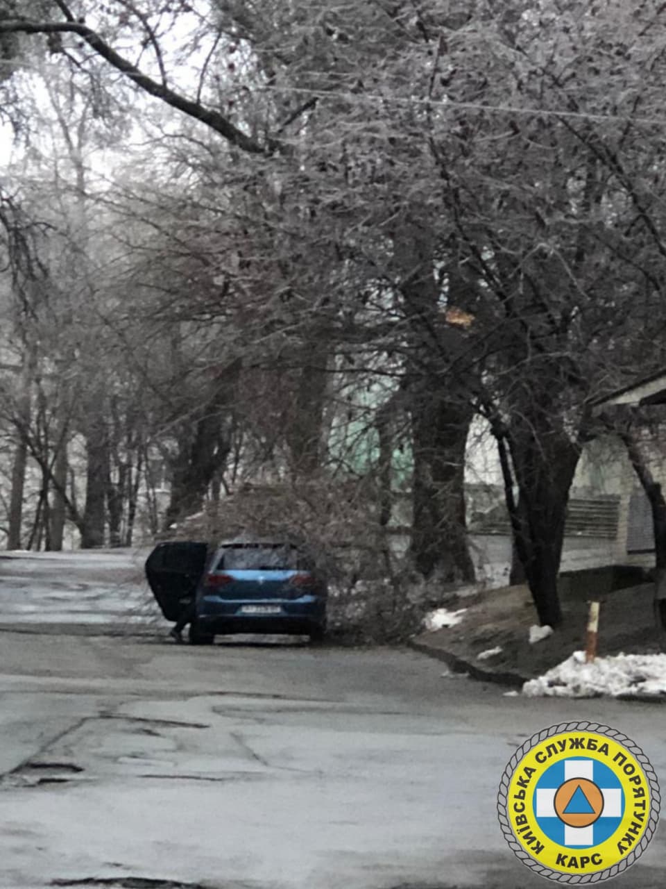 Десятки повалених дерев. З'явилися фото наслідків крижаного дощу в Києві